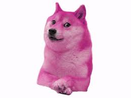 Dogecoin is an alternative cryptocurrency (altcoin) that uses the iconic shibu inu dog from the doge meme as a mascot. Download Meme Doge Gif Png Gif Base