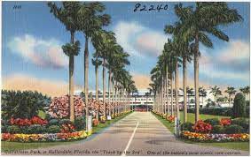 gulfstream park racing hallandale beach florida united states gulfstream hallandale beach tampa