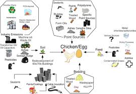 Dann sind sie nicht allein: Reviewing The Relevance Of Dioxin And Pcb Sources For Food From Animal Origin And The Need For Their Inventory Control And Management Environmental Sciences Europe Full Text