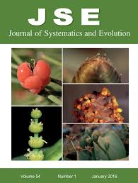 Image result for Camptorrhiza strumosa