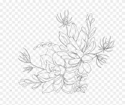 Gardeners can also discourage ant colonies by tilling the surface of the soil to disrupt nests. Green Drawing Chrysanthemum Illustration Succulent Line Art Hd Png Download 750x750 3056002 Pngfind