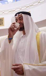 الشبخ محمد بن زايد آل نهيان royal family pictures history uae illustration art girl