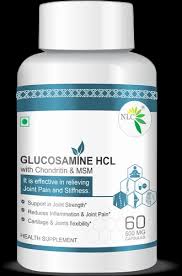 Glucosamine HCL with Chondroitin & MSM Capsules (JOINT PAIN HEALER) BEST  FOR BONE HEALTH at best price in New Delhi