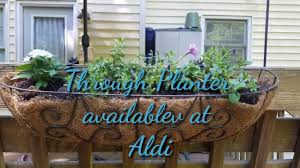 See more ideas about horse trough, galvanized planters, trough planters. Trough Planter From Aldi Assembly Youtube