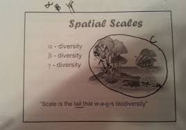 Ecology Exam 2 Quizzes Clickers Flashcards Quizlet