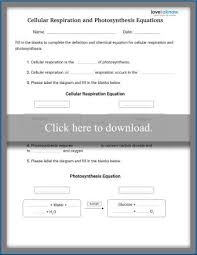 As soon as the video is finished, have the students read and answer the questions found in part 1 of the student activity sheet. Cellular Respiration Worksheets For Middle School Lovetoknow