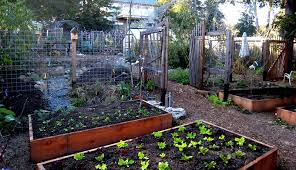 Permaculture is the first design system in history to be based upon ethics. 5 Steps To Creating Permaculture Design Hobby Farms