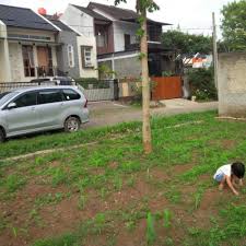 1131 hasil untuk jual tanah kavling cileunyi bandung. Jual Tanah Kavling Di Bandung Jualsewatanah Com