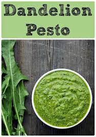 Dandelion Pesto Recipe Dandelion Recipes Foraging Recipes Healthy Recipes