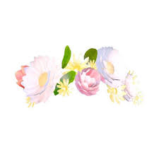 Snapchat Filters Png Transparent Images Png All Liked On Polyvore Featuring Filler Snapchat Flower Crown Filter Snapchat Flower Filter Snapchat Flower Crown