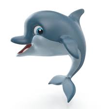Pin On Dolphin