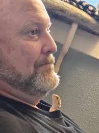 My lazy big boy showing all he's got lol. My name is Spidyman short Spidy  I'm 2 years old and live with 5 little dogs, I'm new to this page. Hello  everyone