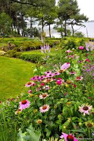 Un Jardin Breton D Agapanthes Et D Hortensias Bleus Jardin D Hortensia Idee Jardin Paysagiste Jardins