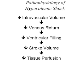 Pakai bebas untuk presentasi, bisnis, komersial. Penyakit Jantung Dan Kegawatannya Pada Bayi Dan Anak