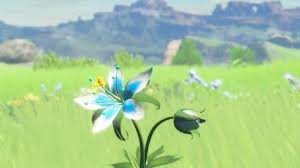 Hestu can be found first near kakariko village and dueling peaks stable, then nearby riverside stable (wetland stable or woodland stable, for some) your first encounter with hestu will happen in necluda, on the road between dueling peaks stable and kakariko village. Silent Princess Legend Of Zelda Breath Of The Wild Zelda Tattoo
