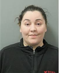 ᐅ Illinois Criminal Records 2009-2025