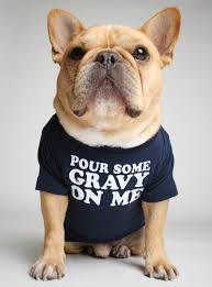 Our sweaters for frenchies come in different fabrics, patterns, and. French Bulldog Wearing A Pour Some Gravy On Me Dog Tee Dog Shirt Dogs Tee Bulldog