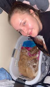 I love seeing creative approaches to kitten fostering! If you've ever felt  like fostering wasn't for you because you don't have enough space, check  this out. My wonderful friends @flapjacknbird converted their