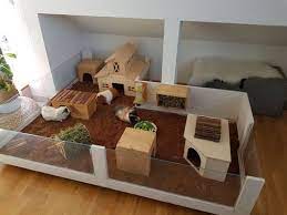 Den geruch alter leute aus dem teppich entfernen. Nie Wieder Anderes Einstreu Der Geruch Ist Neutral Und Man Riecht Auch Nicht Mehr Dass Haus Meerschweinchen Niedliche Meerschweinchen Meerschweinchen Gehege