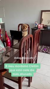 Cleitim: O mordomo mais abusado que está cada dia mais divertido