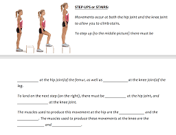 Divide x by seven inches (an approximate step height) and round off the remainder, up if it's.5 or more, or down if it's less than.5. Step Ups Or Stairs Movements Occur At Both The Hip Chegg Com
