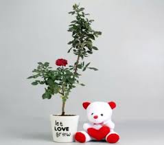 This picture takes the colorful flowers as its background, and brings out a yellow cute bear flying in the sky, whats more fuuny is there are several butterflies and bees smelling the flowers near the bear. Red Rose Plant With Teddy Bear Flowers Nature Background Wallpapers On Desktop Nexus Image 2457911