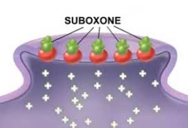 Check spelling or type a new query. How Is Suboxone Treatment Different Than Drug Abuse Suboxone Treatment Program In Charleston