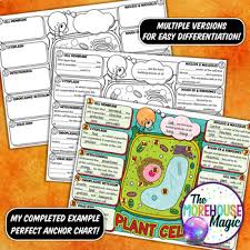 We did not find results for: Plant Cells And Organelles Doodle Notes Science Doodle Notes Tpt