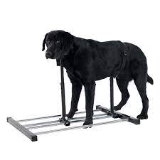 Amazon.com : HQSLC Dog Breeding Stand,Stainless Steel Dog Grooming Stand  with Collar Adjustable Height and Length ,Pet Bath Fixed Bracket (L) : Pet  Supplies