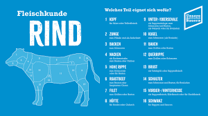 Milchrassen und zweinutzungsrassen wie schwarzbunte, fleckvieh und braunvieh, fleischrasse angus. Rind Unsere Bayerischen Bauern