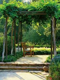42 Amazing Ideas With Natural Pergolas In The Garden And How To Organize The Space Around The Trees In 2020 Pergola Pergola Garden Pergola Patio