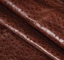 Ostrich Leather - Weaver Leather Supply