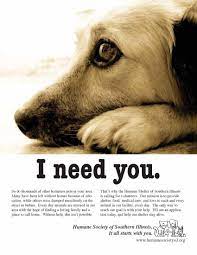 Humane Society Mag Ad Jpg 1700 2200 Humane Society Shelter Dogs Adoption Homeless Pets