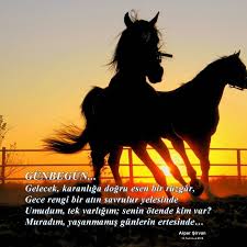 Siirsokakta Siirheryerde Siirmolasi Alpersirvan Gunbegun Gelecek Karanliga Dogru Esen Bir Ruzgar Gece Rengi Bir Atin Savrulur Yelesind Atlar Gece