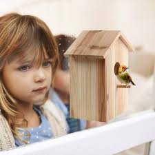 Amazon.com: Bird nest with Strong Suction Cups and lanyards for Outdoor use 