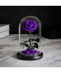 فازة ورد ايلوبا روزز طبيعي دائم يعيش لمدة سنة Glass Vase Glass Vase