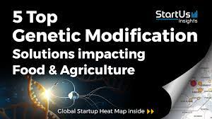 Genetic modification, also referred to as genetic engineering, refers to the process of changing the dna of a living organism with the aim of altering its characteristics. 5 Top Genetic Modification Solutions Impacting Food Agriculture