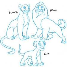 How To Draw A Lion King Lion Lion King Lions Step 1 Lion King Drawings Lion Artwork King Drawing