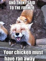 Happy Fox Is Happy Www Meme Lol Com Cute Animals Animals Animals Beautiful