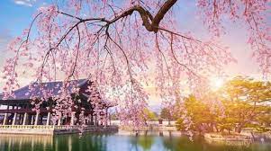23 tempat wisata di korea selatan yang wajib dikunjungi wallpaper pemandangan indah di korea hai semua langsung saja saya ingin membagikan beberapa gambar pemandangan yang indah foto ini dapat anda download dengan gmapang untuk dijadikan wallpaper atau dikoleksi. Ini Dia Tempat Wisata Di Korea Selatan Terindah Dan Musim Terbaik Untuk Mengunjunginya