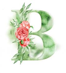 Modern b symbol elegant icon. Letter B Logo Pictures Letter B Logo Stock Photos Images Depositphotos