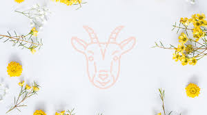 Die aufteilung wurde schon in der antike festgelegt. Sternzeichen Steinbock Horoskop De
