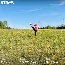 Profile for Sandy Maness