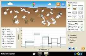 The worksheet asks students to review terms and label an image. Natural Selection Mutation Genetics Selection Phet Interactive Simulations