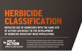 free herbicide classification poster