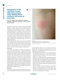 A camel spider (sun spider, sun scorpion) is not venomous, but is capable of inflicting an extremely painful bite. Pdf Management Of The Cutaneous Reaction Induced By Scorpion Sting Thinking About Treatment And Means Of Prevention