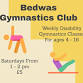 Disability Gymnastics Session event image