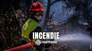 Maritima - News update