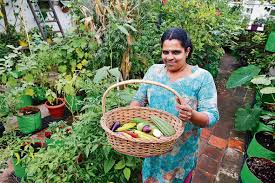It is the perfect area to exercise in and improve your fresh air. A 1500 Square Ft Organic Terrace Garden In The Heart Of Chennai The New Indian Express