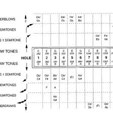 notes and approximate frequencies of a ten hole diatonic